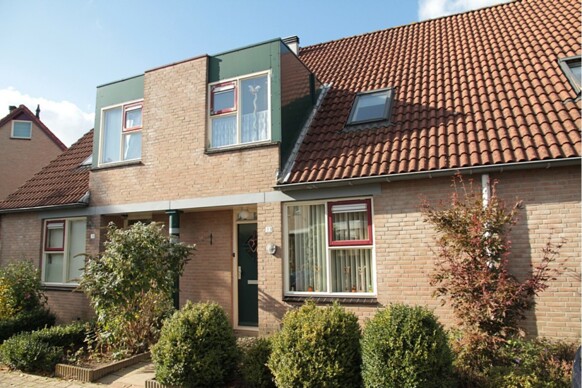 Korenbloem 33