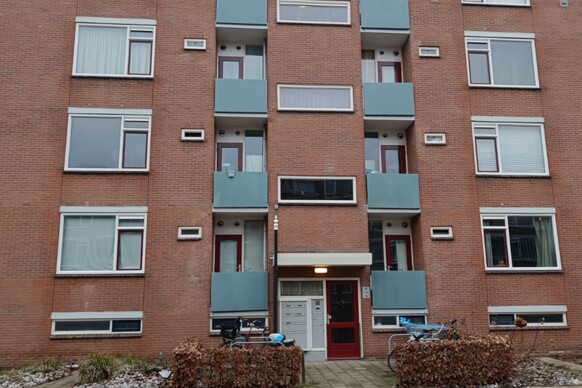 Meiboomstraat 31
