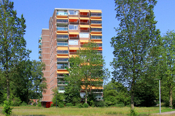 Boterbloem 104