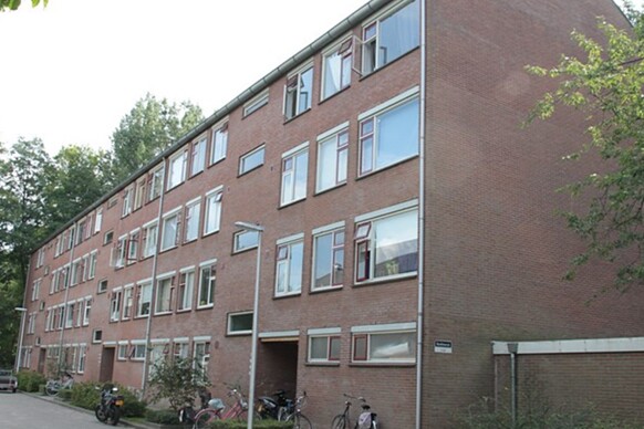 Bukhorst 28