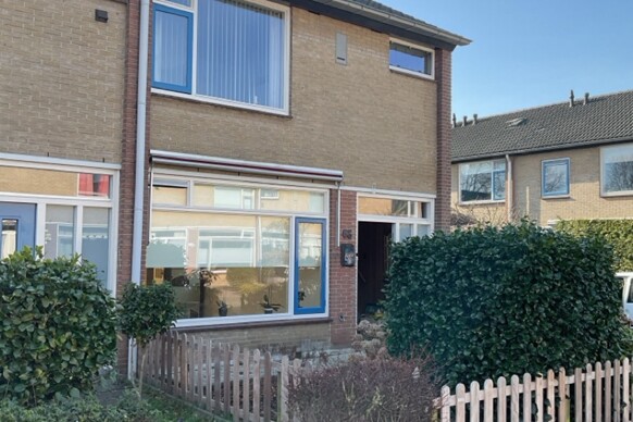 Wijnruitstraat 66