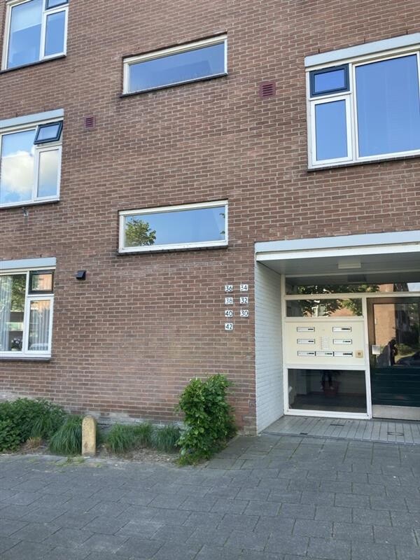 Het Vlier 40