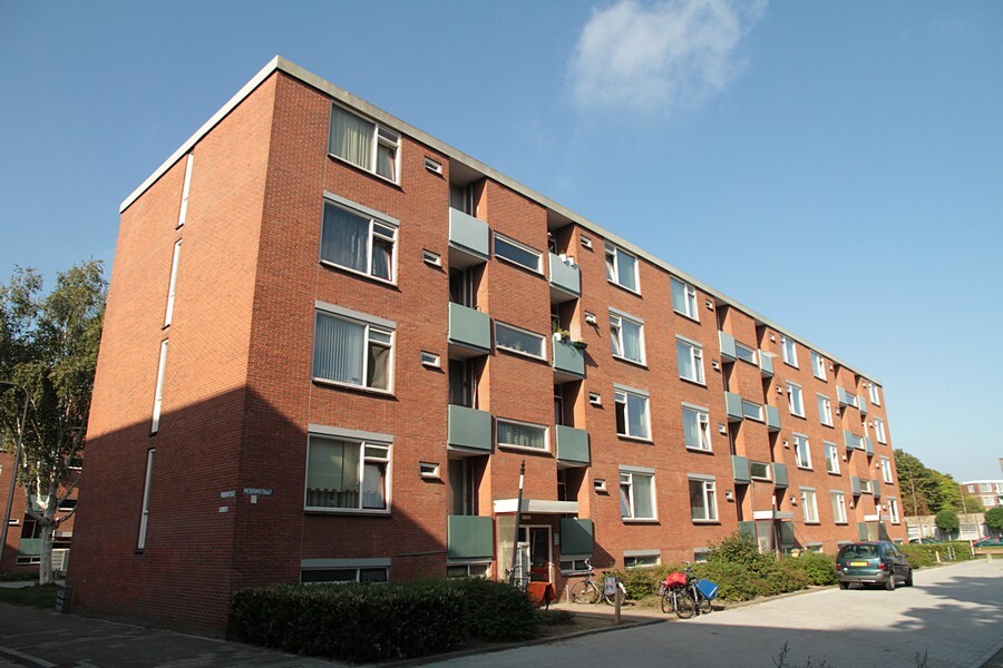 Meiboomstraat 135
