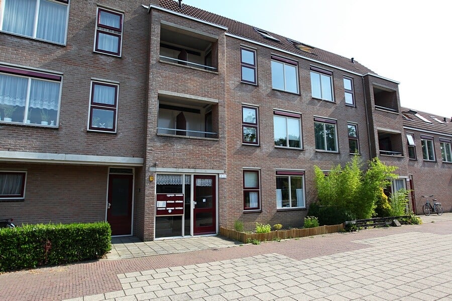 Polsbroek 36