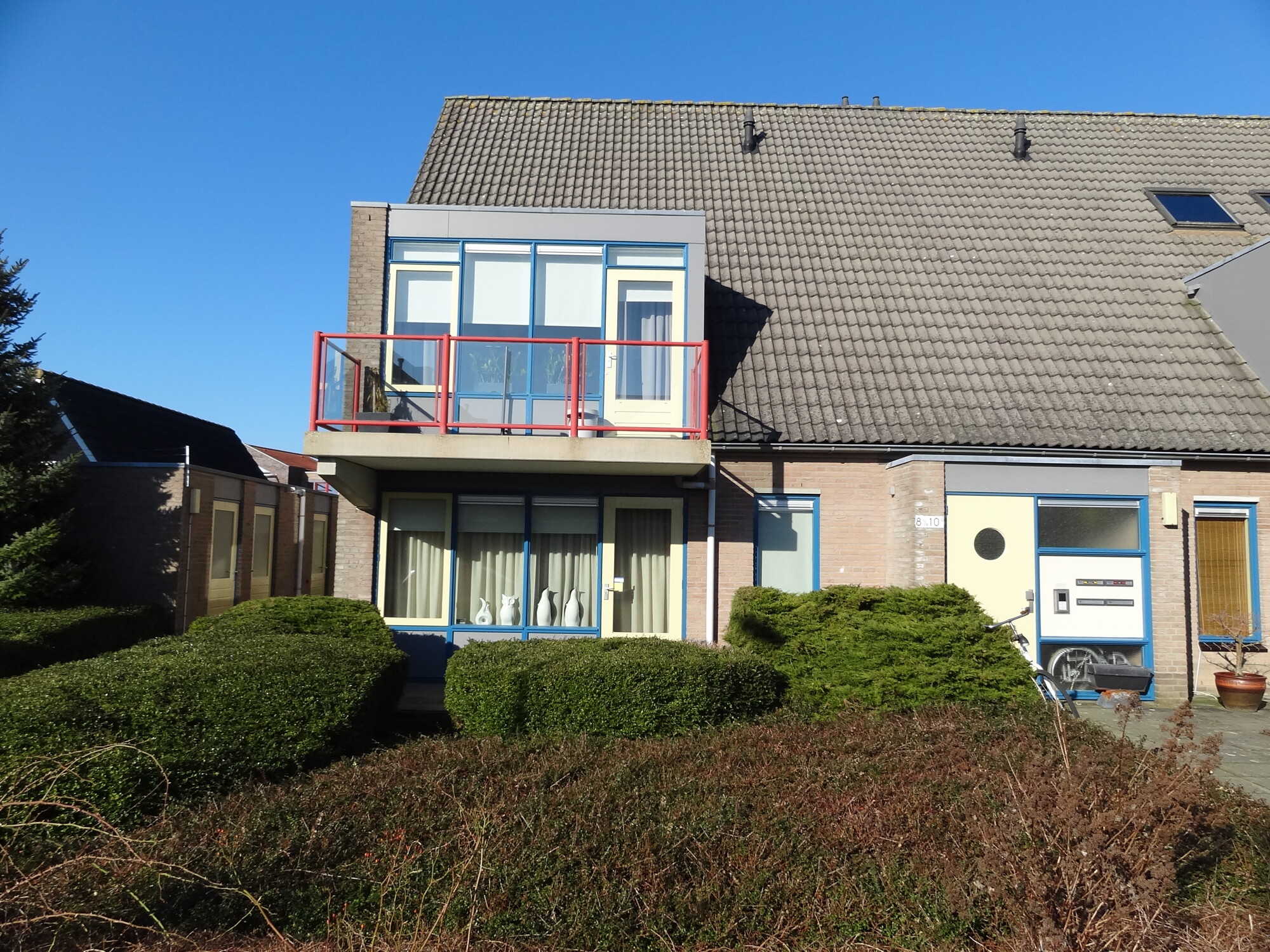 Pinksterbloem 10-A