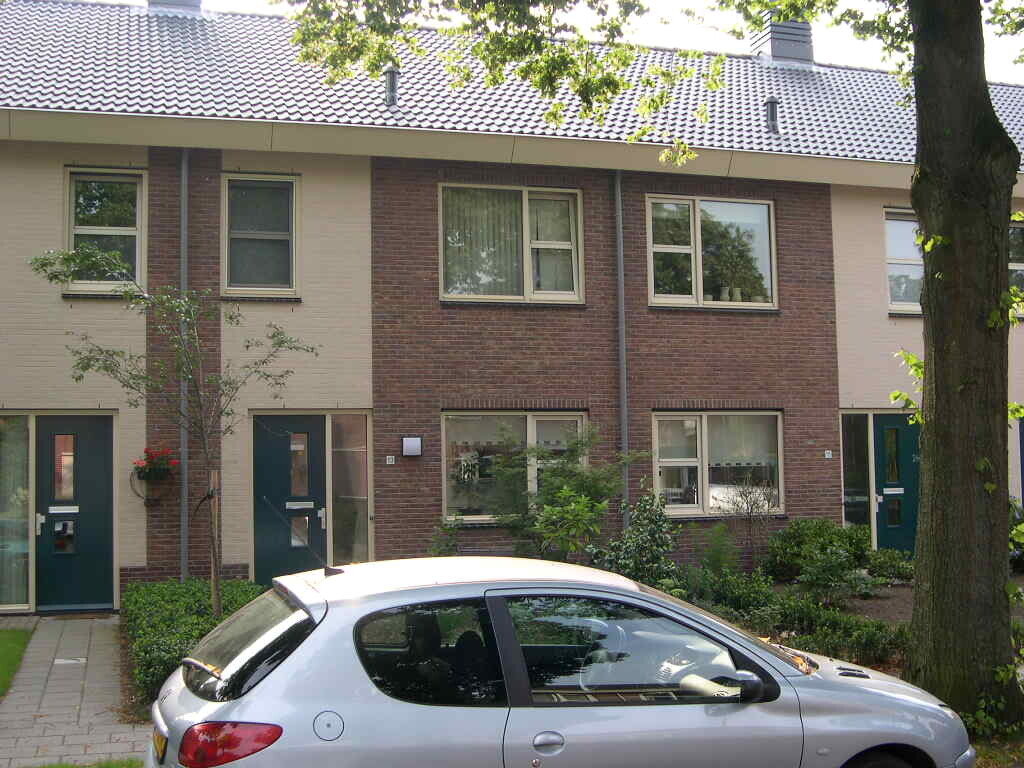 Kapperallee 13