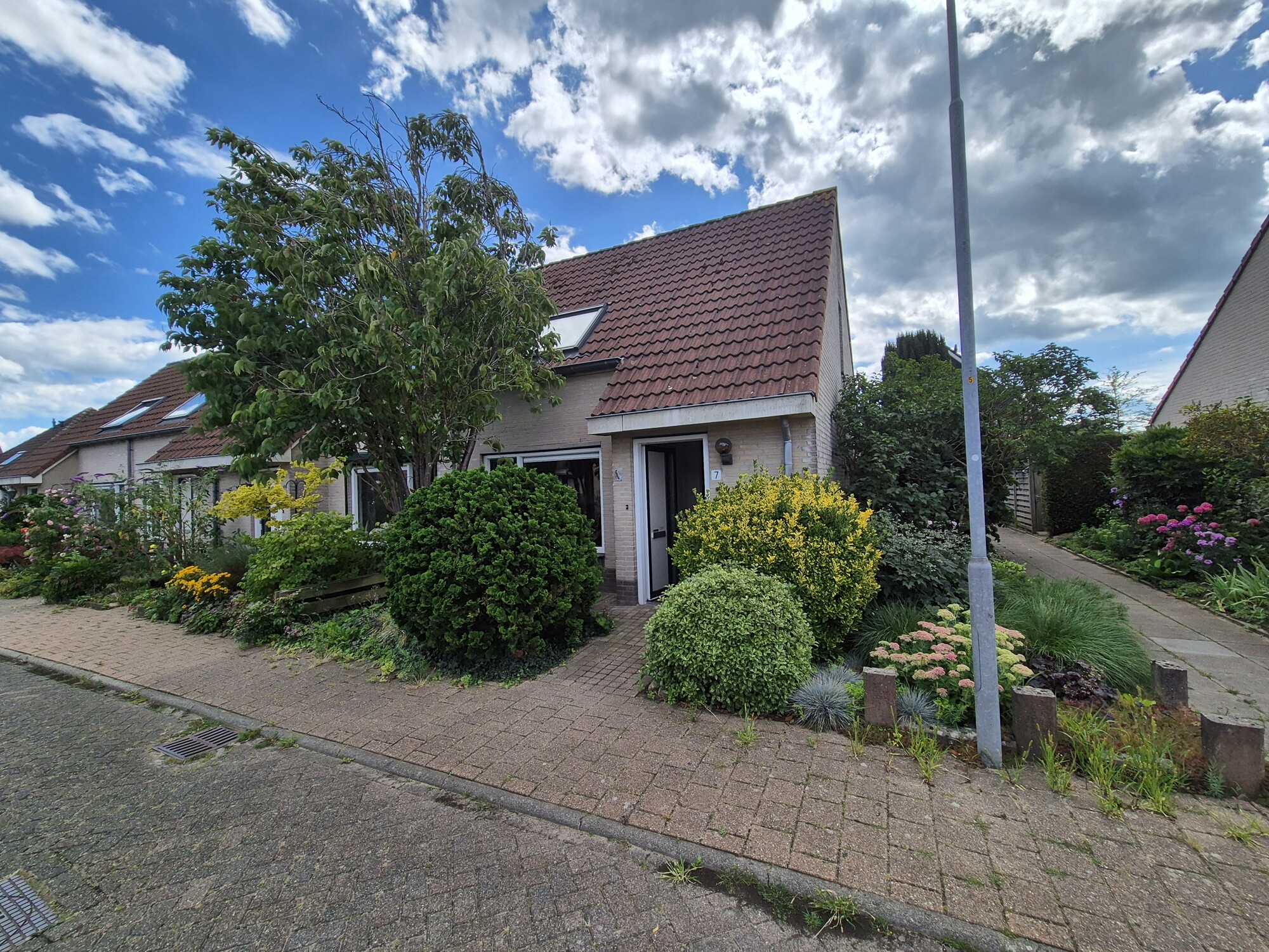 Margriet 7